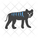 پیش‌نمایش فایل leapord-3 از پک Animal 