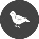 پیش‌نمایش فایل bird-202 از پک Animal 