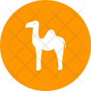 پیش‌نمایش فایل camel-62 از پک Animal 