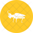 پیش‌نمایش فایل grasshopper-17 از پک Animal 