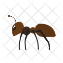 پیش‌نمایش فایل ant-38 از پک Animal 
