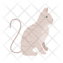 پیش‌نمایش فایل cat-338 از پک Animal 