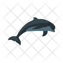 پیش‌نمایش فایل dolphin-61 از پک Animal 