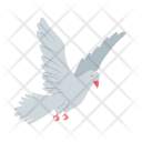 پیش‌نمایش فایل dove-33 از پک Animal 