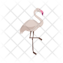 پیش‌نمایش فایل flamingo-14 از پک Animal 
