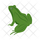 پیش‌نمایش فایل frog-70 از پک Animal 