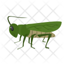 پیش‌نمایش فایل grasshopper-18 از پک Animal 
