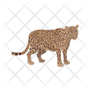 پیش‌نمایش فایل leopard-25 از پک Animal 