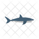 پیش‌نمایش فایل shark-48 از پک Animal 