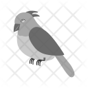 پیش‌نمایش فایل bird-204 از پک Animal 