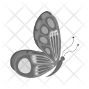 پیش‌نمایش فایل butterfly-340 از پک Animal 