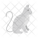 پیش‌نمایش فایل cat-339 از پک Animal 