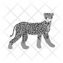 پیش‌نمایش فایل cheetah-12 از پک Animal 