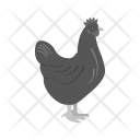پیش‌نمایش فایل chicken-360 از پک Animal 