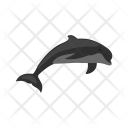 پیش‌نمایش فایل dolphin-62 از پک Animal 