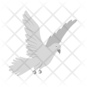 پیش‌نمایش فایل dove-34 از پک Animal 