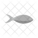 پیش‌نمایش فایل fish-528 از پک Animal 