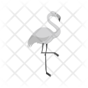 پیش‌نمایش فایل flamingo-15 از پک Animal 