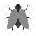 پیش‌نمایش فایل fly-39 از پک Animal 