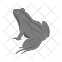 پیش‌نمایش فایل frog-71 از پک Animal 