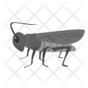 پیش‌نمایش فایل grasshopper-19 از پک Animal 