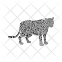 پیش‌نمایش فایل leopard-26 از پک Animal 