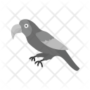 پیش‌نمایش فایل parrot-21 از پک Animal 