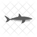 پیش‌نمایش فایل shark-49 از پک Animal 