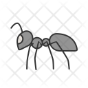 پیش‌نمایش فایل ant-42 از پک Animal 