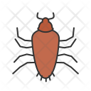 پیش‌نمایش فایل cockroach-18 از پک Animal 