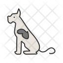 پیش‌نمایش فایل dog-2054 از پک Animal 