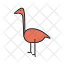 پیش‌نمایش فایل flamingo-16 از پک Animal 
