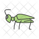 پیش‌نمایش فایل grasshopper-20 از پک Animal 