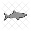 پیش‌نمایش فایل shark-50 از پک Animal 