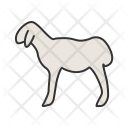 پیش‌نمایش فایل sheep-243 از پک Animal 