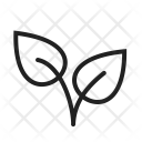 پیش‌نمایش فایل leaves-69 از پک تابستان