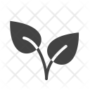 پیش‌نمایش فایل leaves-71 از پک تابستان