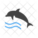 پیش‌نمایش فایل dolphin-70 از پک تابستان