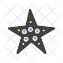 پیش‌نمایش فایل starfish-50 از پک تابستان