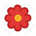 پیش‌نمایش فایل flower-1112 از پک تابستان
