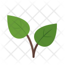 پیش‌نمایش فایل leaves-73 از پک تابستان