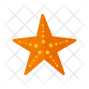 پیش‌نمایش فایل starfish-51 از پک تابستان