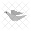 پیش‌نمایش فایل birds-12 از پک تابستان