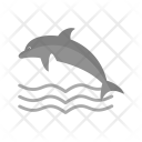 پیش‌نمایش فایل dolphin-73 از پک تابستان