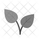 پیش‌نمایش فایل leaves-75 از پک تابستان