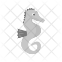 پیش‌نمایش فایل seahorse-15 از پک تابستان