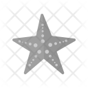پیش‌نمایش فایل starfish-53 از پک تابستان