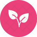 پیش‌نمایش فایل leaves-77 از پک تابستان
