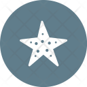 پیش‌نمایش فایل starfish-54 از پک تابستان