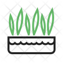 پیش‌نمایش فایل grass-pot-14 از پک Gardening 
